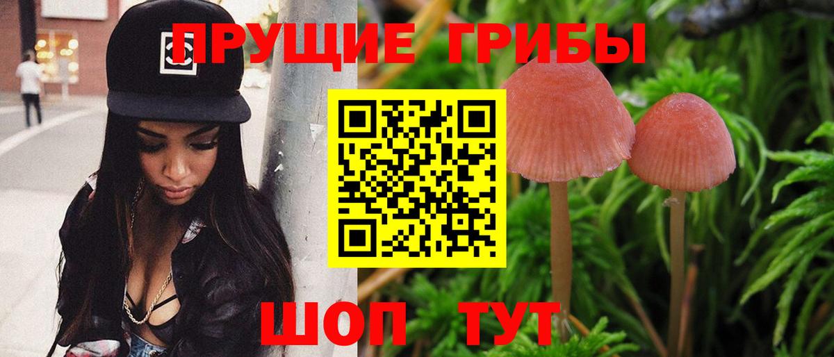 Псилоцибиновые грибы Cubensis  Вход с VPN  Заволжье 