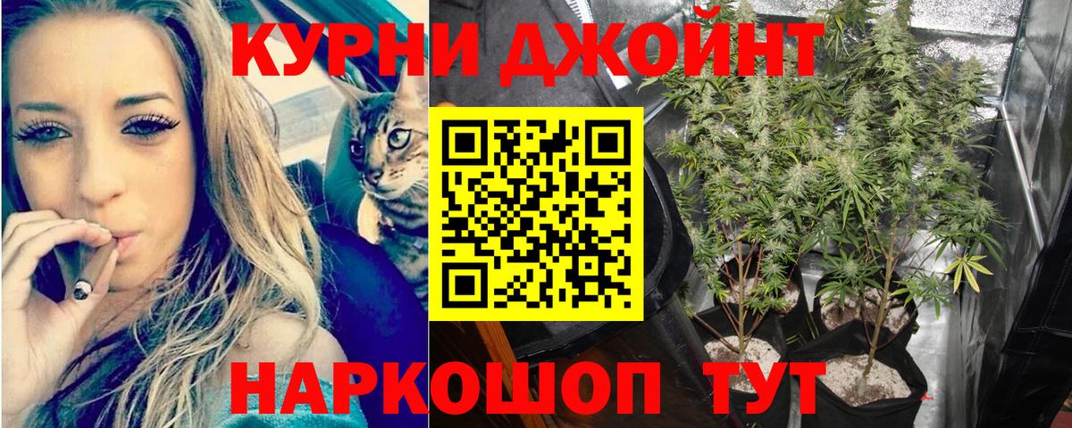 Шишки марихуана AK-47  Конопля конопля  Заволжье  Вход с VPN  Бошки Шишки VHQ  Шишки марихуана ГИДРОПОН 